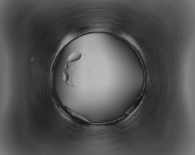 X0000087011242200705071519