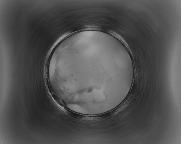 X0000087011243200705071519