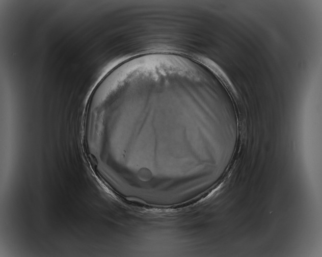 X0000087011244200705071519