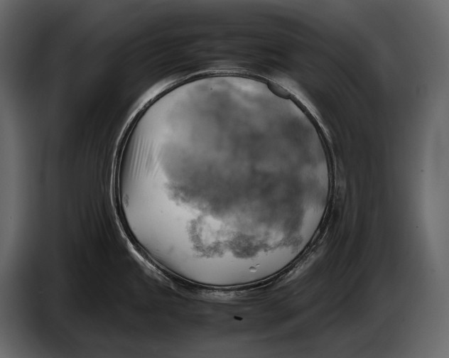 X0000087011245200705071519