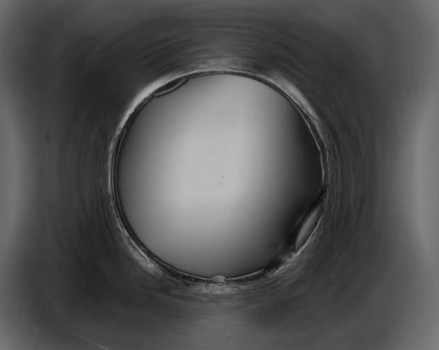 X0000087011246200705071519