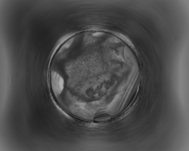 X0000087011247200705071519