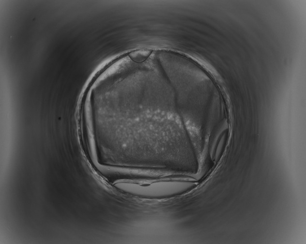 X0000087011248200705071519