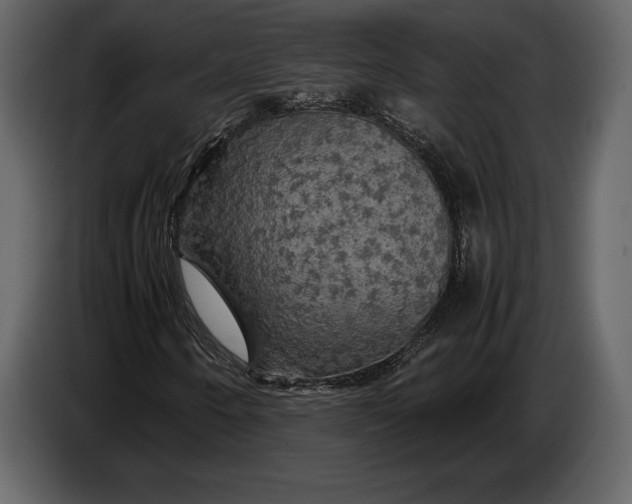 X0000087011250200705071519