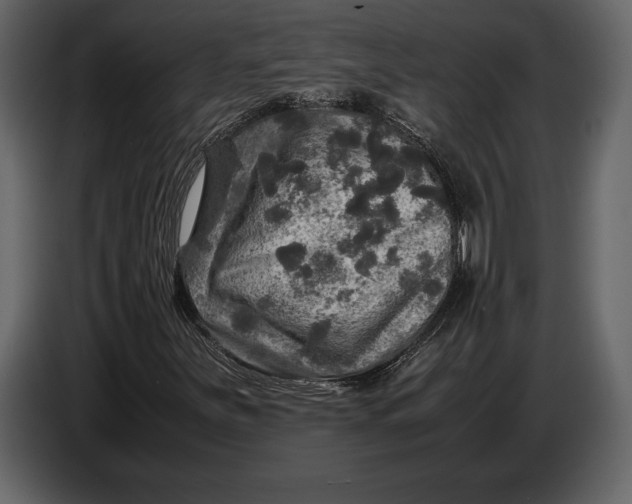 X0000087011251200705071519