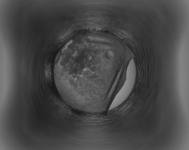 X0000087011252200705071519