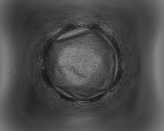 X0000087011253200705071519