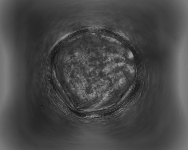 X0000087011255200705071519