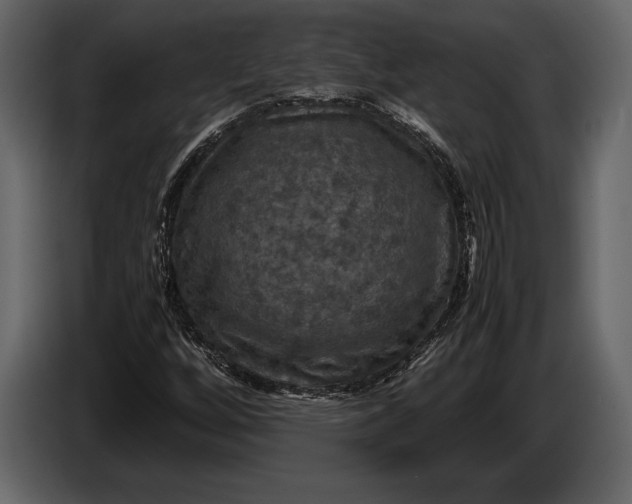 X0000087011256200705071519