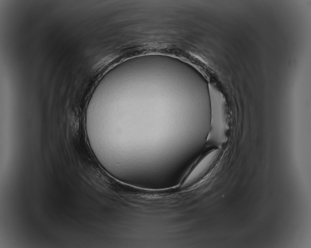 X0000087011257200705071519