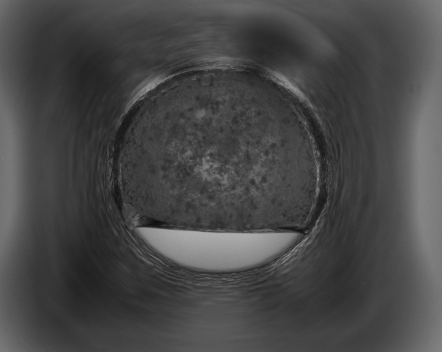 X0000087011259200705071519