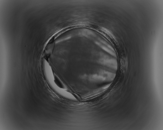 X0000087011260200705071519