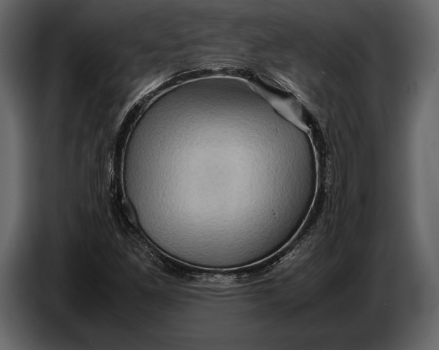 X0000087011261200705071519