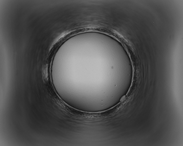 X0000087011262200705071519