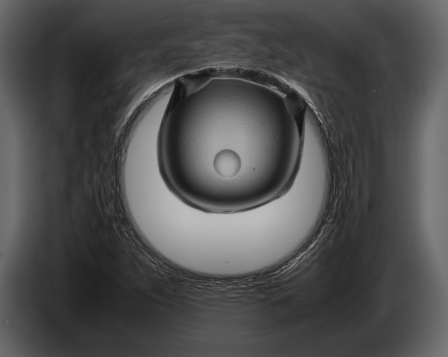 X0000087011263200705071519