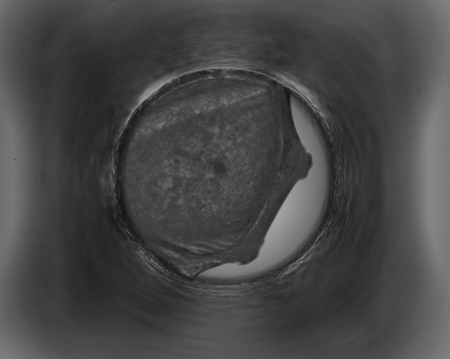 X0000087011264200705071519