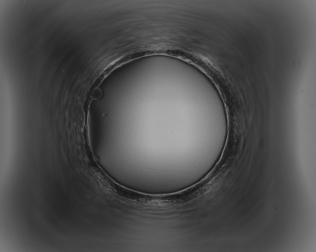 X0000087011265200705071519