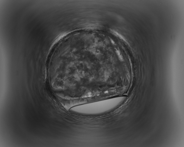 X0000087011267200705071519