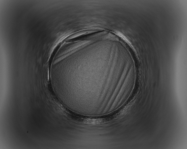 X0000087011269200705071519