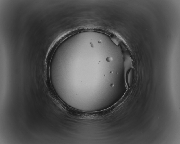 X0000087011270200705071519