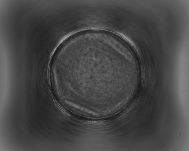 X0000087011272200705071519