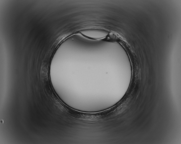 X0000087011273200705071519