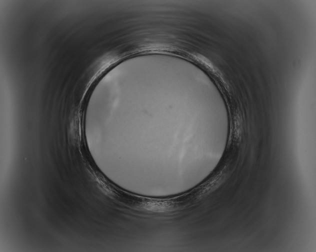 X0000087011274200705071519