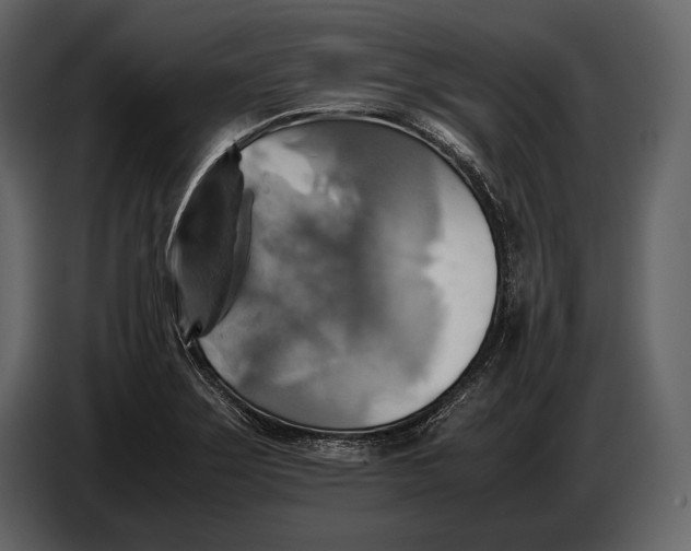 X0000087011275200705071519