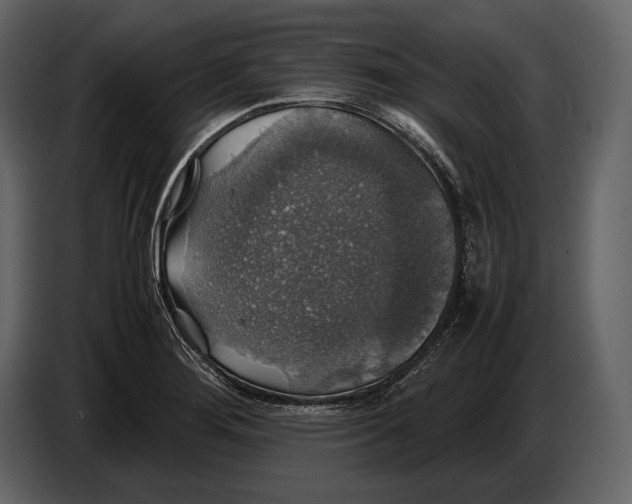 X0000087011276200705071518