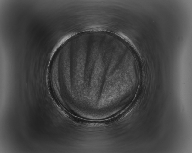 X0000087011277200705071518