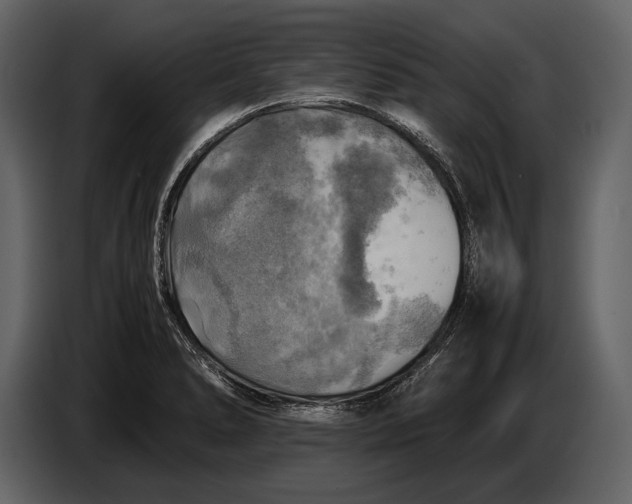 X0000087011278200705071518