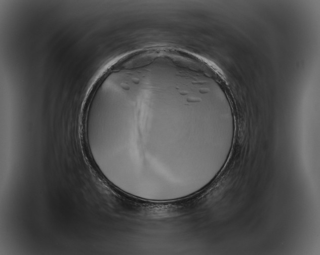 X0000087011279200705071518