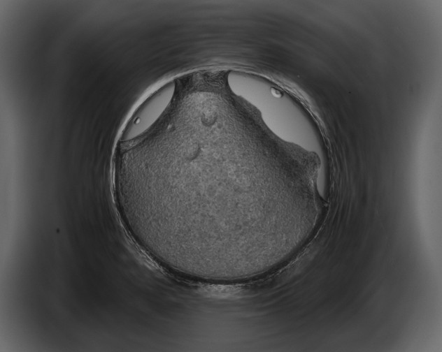 X0000087011280200705071518