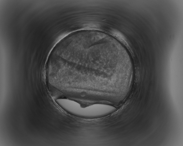 X0000087011284200705071518