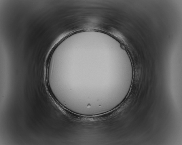 X0000087011286200705071518