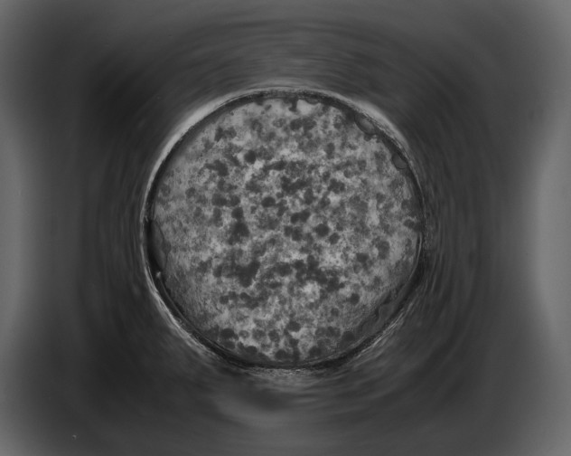 X0000087011287200705071518