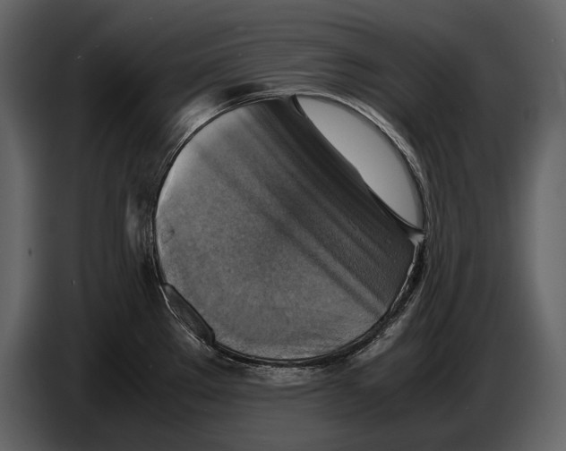 X0000087011289200705071518