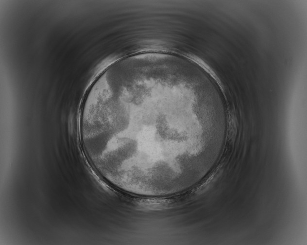 X0000087011290200705071518