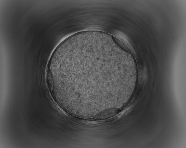 X0000087011292200705071518