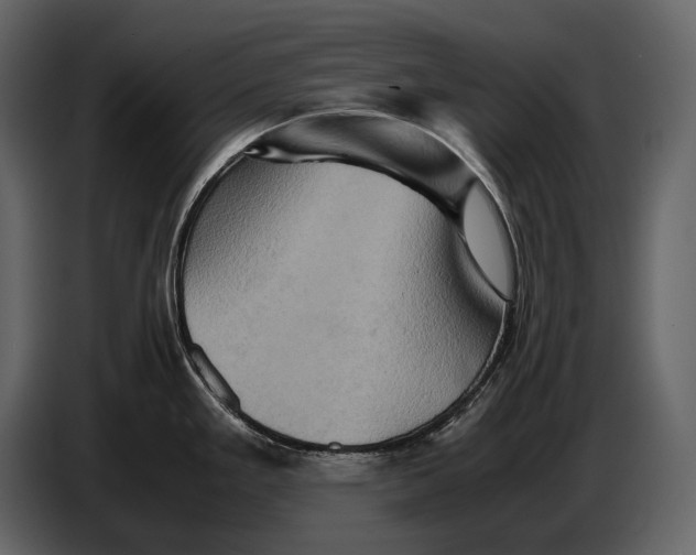 X0000087011293200705071518