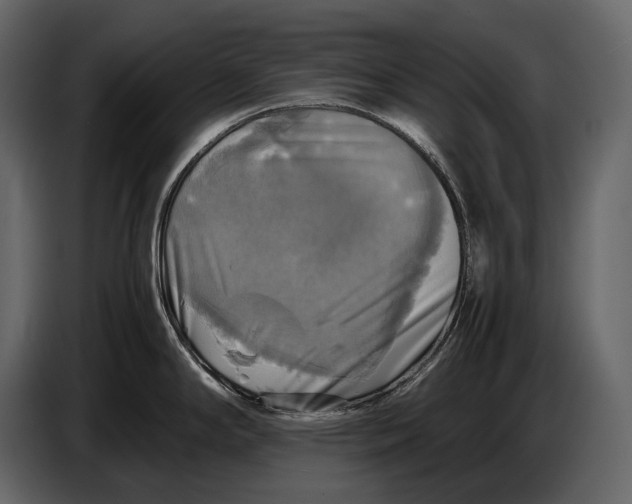 X0000087011294200705071518