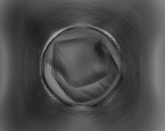 X0000087011295200705071518