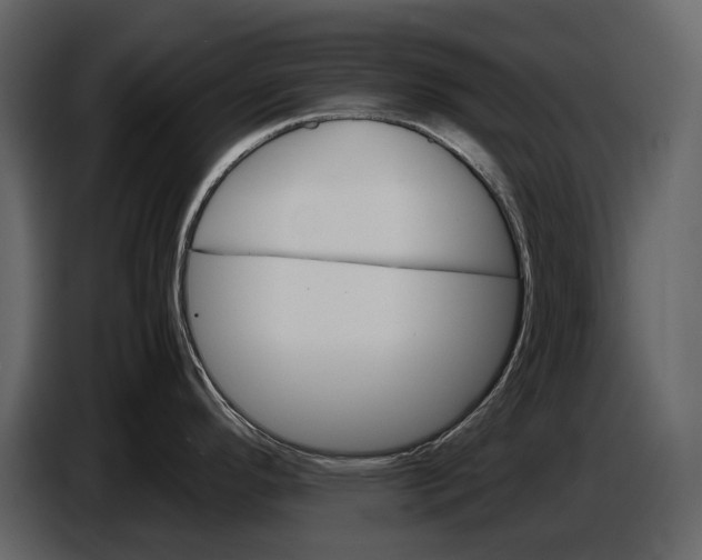 X0000087011296200705071518