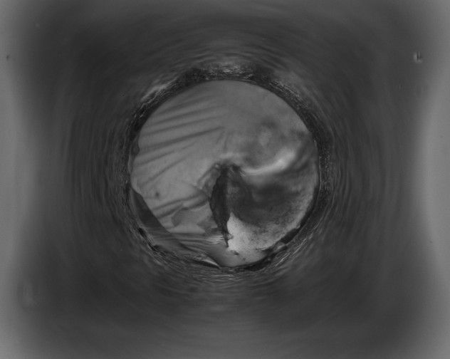 X0000087011297200705071518