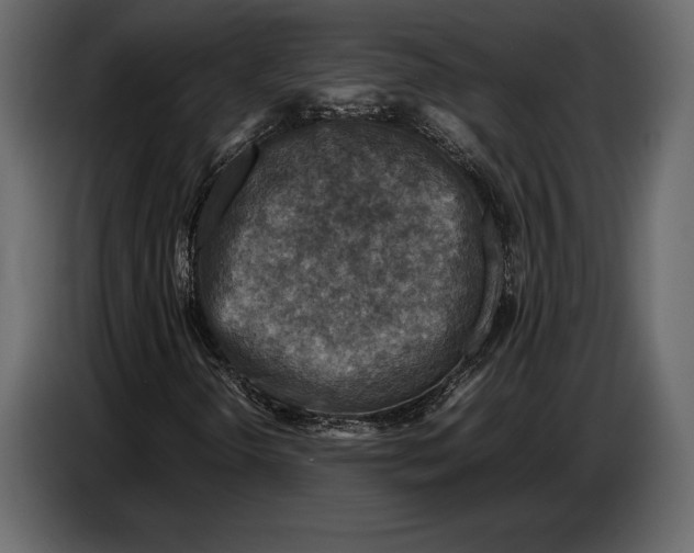 X0000087011298200705071518