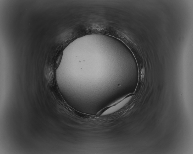 X0000087011299200705071518