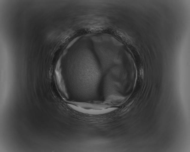 X0000087011300200705071518