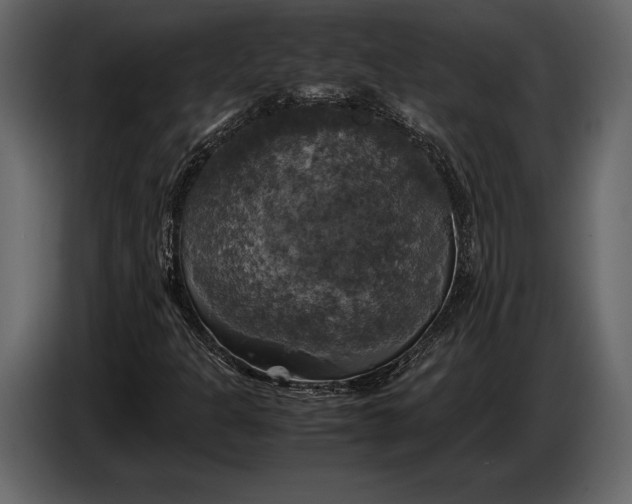 X0000087011301200705071518