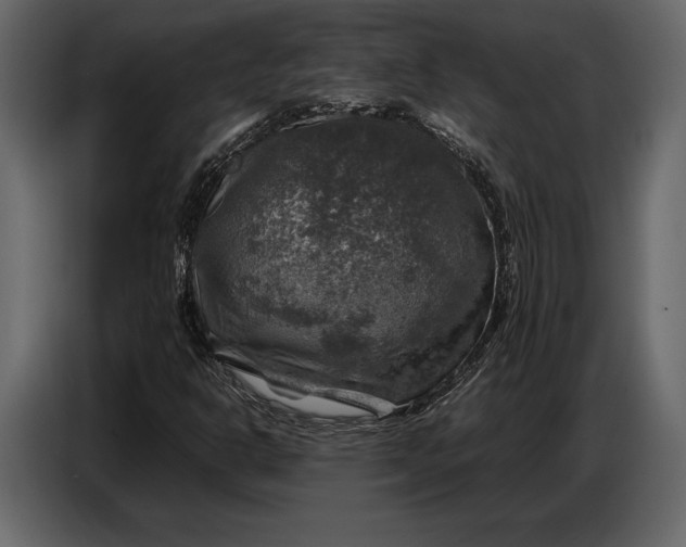 X0000087011302200705071518