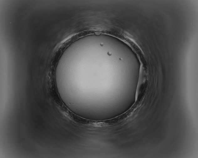 X0000087011304200705071518